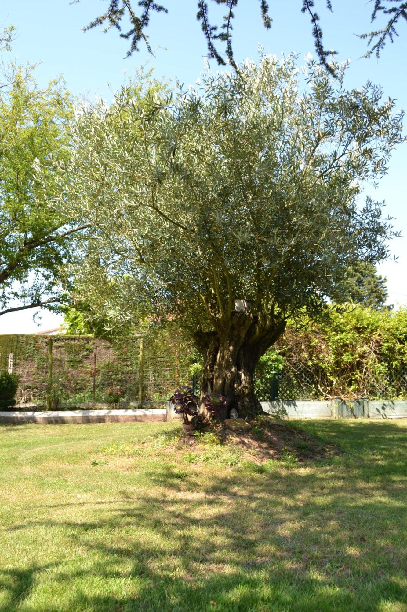 Le Gite De La Lombriere Saint-Denis-de-Pile Luaran gambar